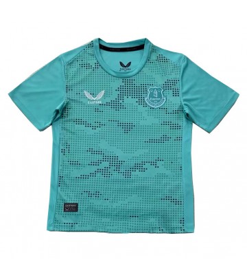 Everton Goalkeeper Replica Away Stadium Shirt 2024-25 Short Sleeve